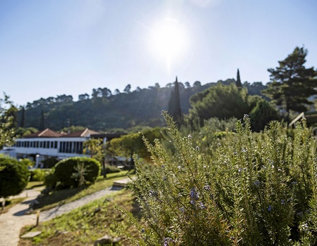 Hôtel TUI Blue Kalamota Island 4* Adult Only +16 by Ôvoyages - 4