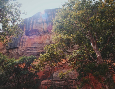Circuit L'odyssée sri lankaise : l'île aux mille visages - 2