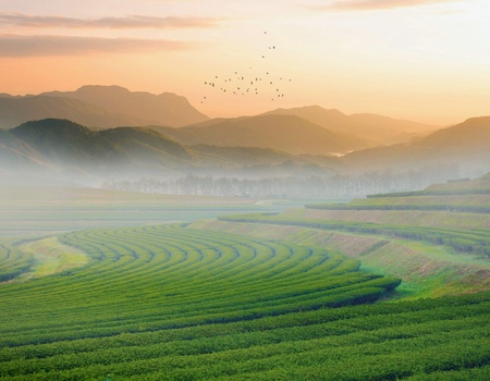 Vietnam Intimiste ext. Cambodge 20J/17N - Limité à 16 pers. - 3
