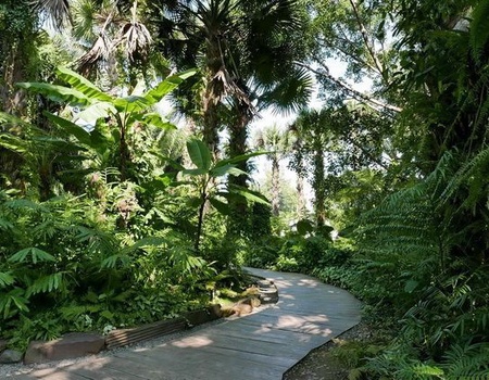 CIRCUIT YUNNAN AUX ORIGINES DU THE - 5