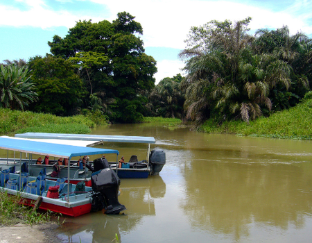 Circuit Tribus et Faune Mythique du Costa Rica