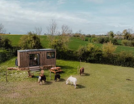 Tiny House : au cœur d'un pré Normand - Calvados - Landes-sur-Ajon, Manche & Normandie - Image 2