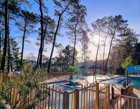 Camping Paradis - Bois Simonet, 4* - 1
