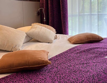 Escapade détente & SPA avec vue sur les montagnes, à aix-les-Bains - 4*