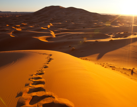 Entre Médina et Désert À la Découverte du Maroc Authentique - 2