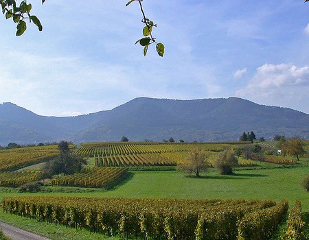 Partez à la découverte d'Obernai et sa région - 3* - 1