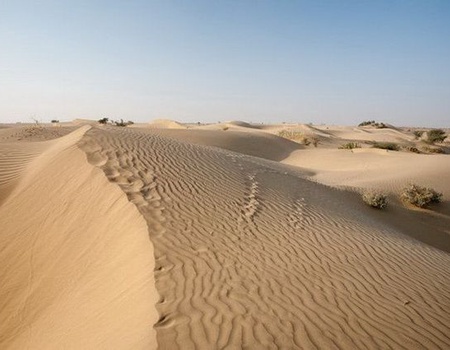 CIRCUIT RAJASTHAN BUISSONNIER - 2