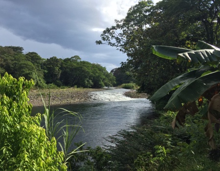 Balade en liberté - Forêt tropicale et plage ensoleillée - San Jose, Costa Rica - Image 2