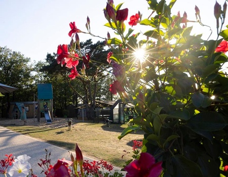 Camping Sites et Paysages - Les Hirondelles, 4* - 5