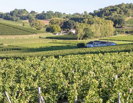 Novotel Bordeaux Centre Gare Saint Jean - Séjour avec visite d'un vignoble à Saint-Émilion - 4*