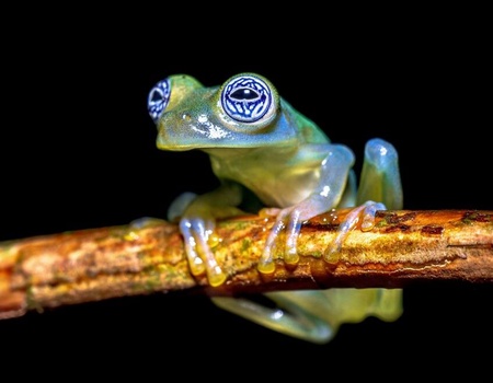 Autotour Costa Rica Pura Vida et Naturaleza - 3