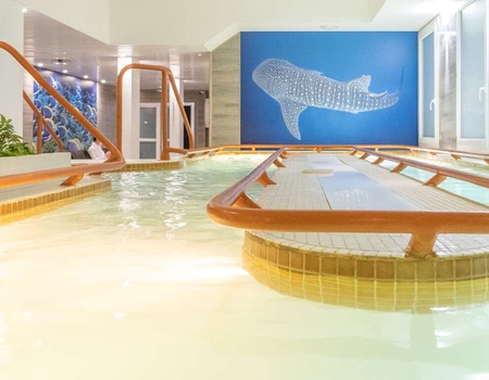 Escapade avec dîner et thalasso sur l'île de Ré - 3* - Charente-Maritime - Ars en Ré, Atlantique Nord - Image 4