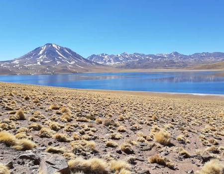 Circuit Chili, des Andes aux moais de l'Île de Pâques (maximum 16 participants) - 5