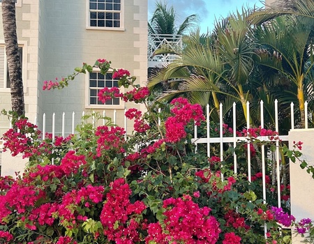 Hôtel South Point 4* - Bridgetown, Barbade - Image 3