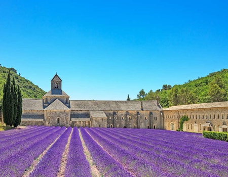Découverte du Musée de la Lavande à Cavaillon - 3* - 1