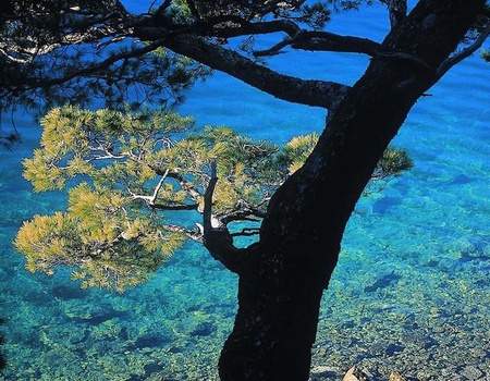 Croisière de criques en îles MS Spirito - Croatie - 3