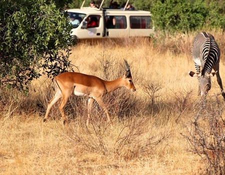 Fram Selection Barracuda 4* avec 1 nuit Tsavo Est ****