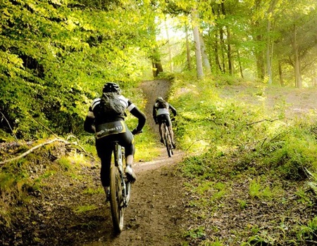 Camping l'Orée des Cévennes - 2