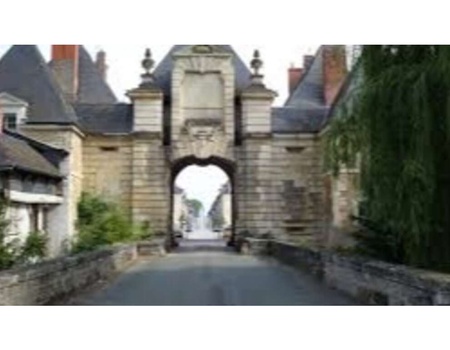 Charme et tranquilité près de Chinon - 3* - 3