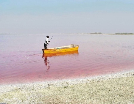 Villes coloniales et sanctuaires naturels - Sénégal, Afrique Océan Indien - Image 3