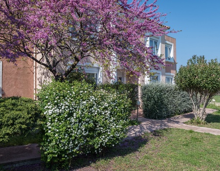 Hôtel Thalassa (sans transport) - 5