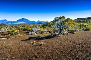 Circuit La Réunion intimiste - 2
