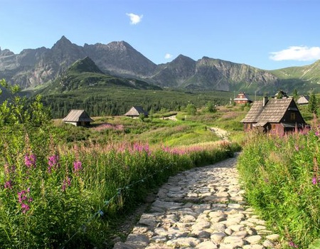 Circuit Merveilles de Pologne 09J/8N - 2026 - 5