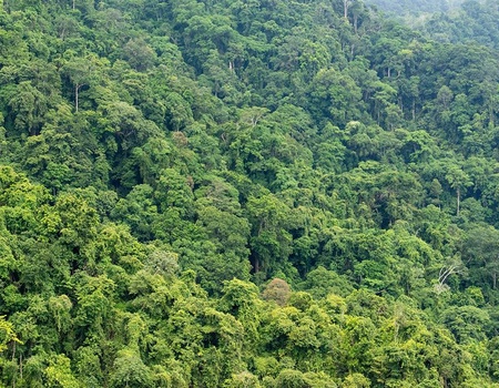 Évasion Tropicale : Circuit au Coeur du Costa Rica - 2
