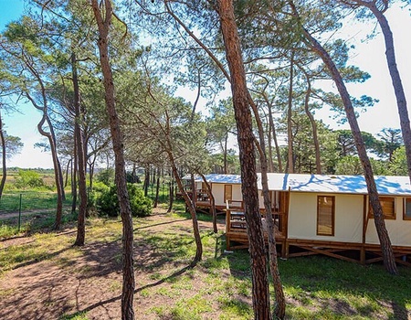 Camping La Tamarissière, 4* - 5