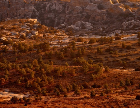 Circuit Là où le temps s'arrête : Jordanie, entre cités et déserts - 4