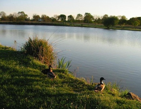 Camping du Lac de Saujon, 3* - Charente-Maritime - Saujon, Atlantique Nord - Image 5