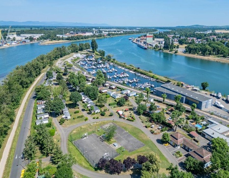 Camping Ile du Rhin - 1