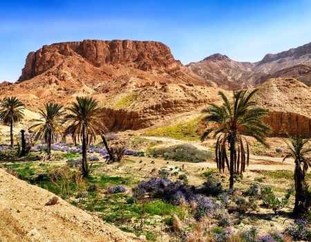 Circuit La Saharienne en 4X4 entre nous - Circuit Privatif - 3