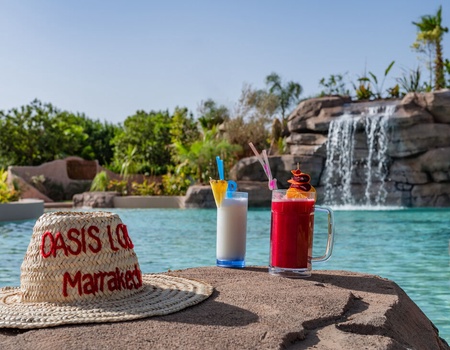 Hôtel Oasis Lodges 4* - 3