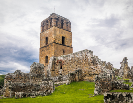 Circuit Orchidées du Panama en Privatif - 5