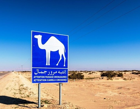 Circuit La Saharienne en 4X4 - 4