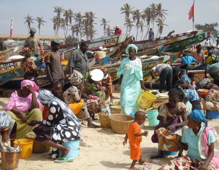 Découverte du Sénégal - De Dakar à Dakar - 3