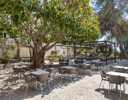 Hôtel Club Castell dels Hams 4* - Majorque, Baléares - Image 5