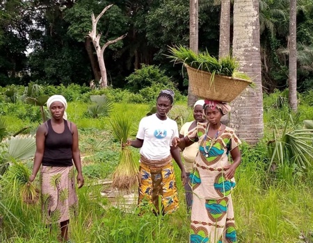 Casamance - Des Iles Et Des Hommes - Sénégal, Afrique Océan Indien - Image 3