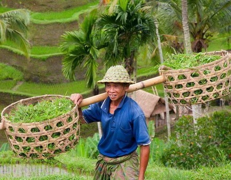 Circuit Privé Flânerie balinaise (cat. sup.) - Indonésie - 3