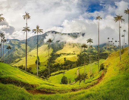 Circuit Visages de la Colombie - Circuit privé - 4