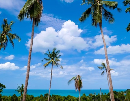 Circuit Des Temples Khmers aux plages de Koh Samui 4* - Vols Flex - Bangkok, Thailande - Image 3