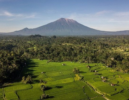 BALI ESSENTIEL EXT BALI - 5