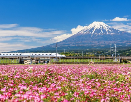 Circuit individuel : Japon Essentiel avec activités en 3★ ou 4★ - STD* - 2