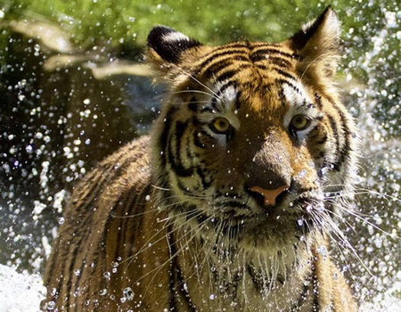 Séjour proche de Metz avec entrée au Zoo d'Amnéville - 4* - 1