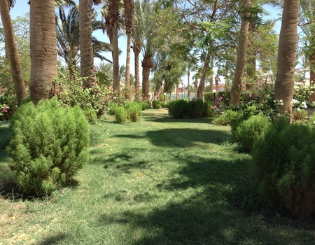 Hôtel Giftun Azur Resort 3* - 2