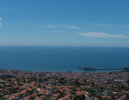 Au coeur de Madère - Logement Jardins d'Ajuda 4* - Madère - 3