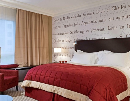 Sofitel Strasbourg Grande Île 5* : Hôtel + Train - Strasbourg, Nord & Est - Image 5