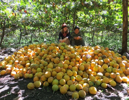 Circuit Immersion au cœur de la Vallée Sacrée - 5