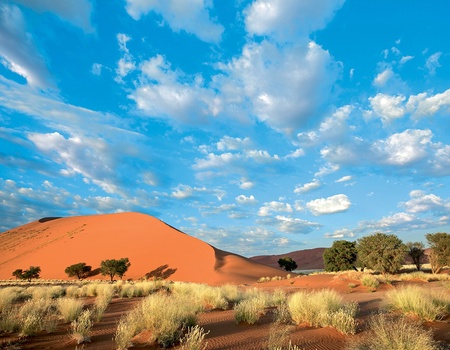 Circuit Essentiel - Visage de Namibie - Namibie, Afrique Océan Indien - Image 1